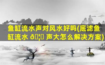 鱼缸流水声对风水好吗(底滤鱼缸流水 🦈 声大怎么解决方案)